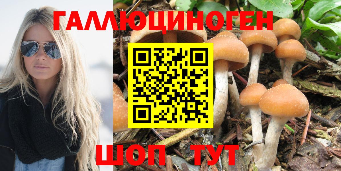Галлюциногенные грибы Cubensis  Вход с VPN  Кизляр  Галлюциногенные грибы GOLDEN TEACHER 