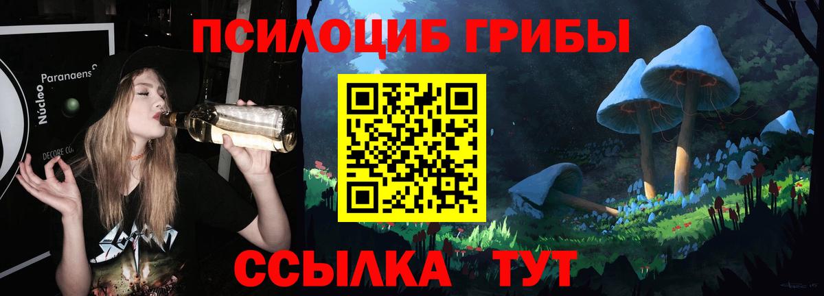 Галлюциногенные грибы прущие грибы Кизляр